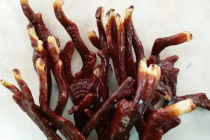 cong-dung-cua-nam-sung-huou