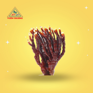 nam-sung-huou-gia-tot