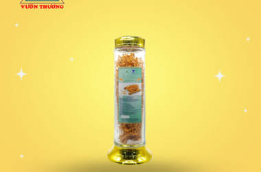 dong-trung-ha-thao-la-gi-vi-sao-duoc-xem-la-duoc-lieu-quy-gia